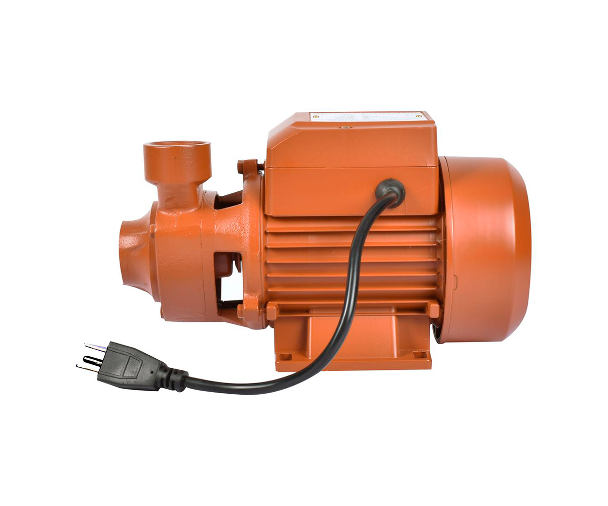 BOMBA LADRONA MUNICH 1/2 HP