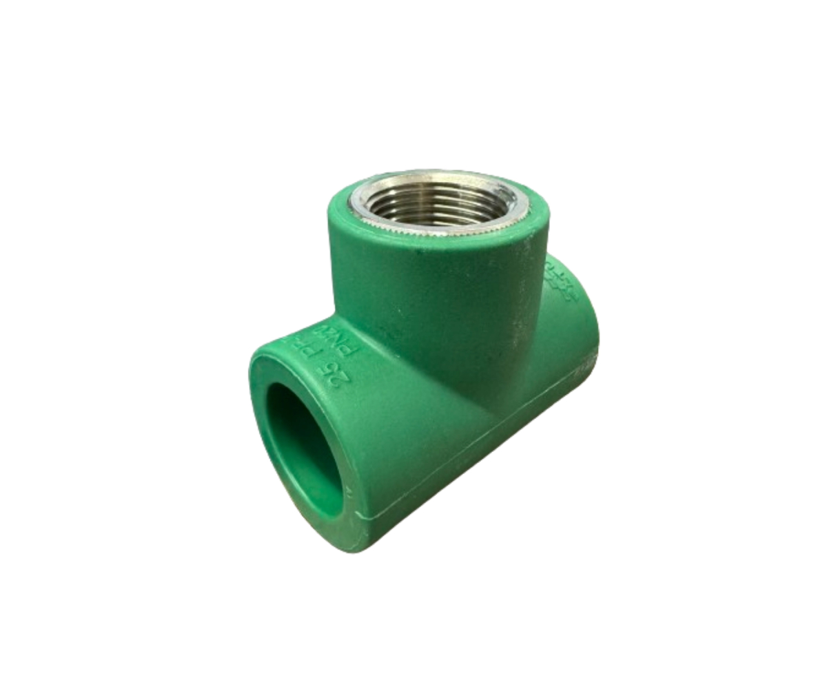 PPR TEE VERDE 3/4 TERMINAL HEMBRA
